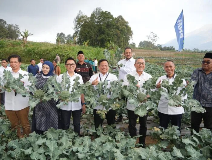 The Inpres Program PNM Dukung Inpres Swasembada Pangan Melalui Program Ayam Petelur Dan ...